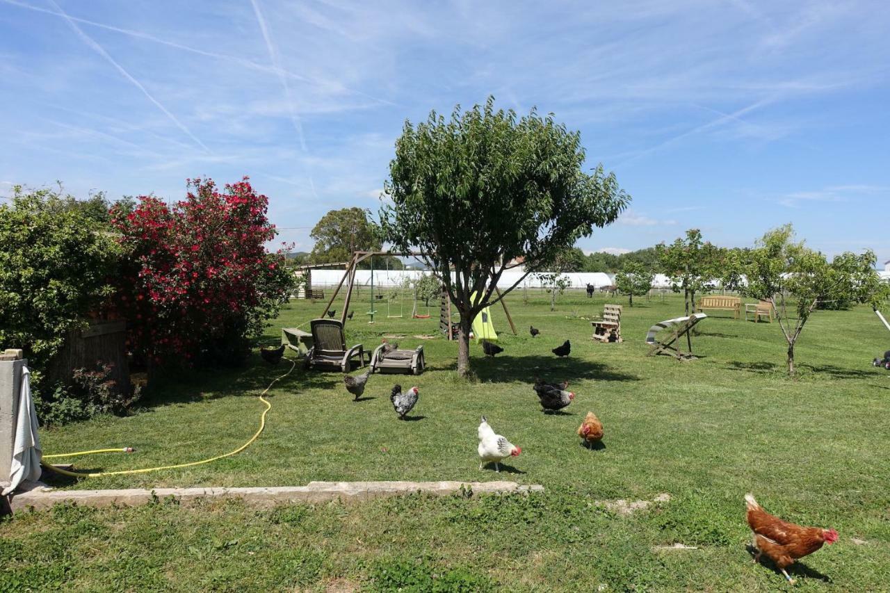 Gîte du Pagoulin - Chambres d'hôtes Hyères Extérieur photo