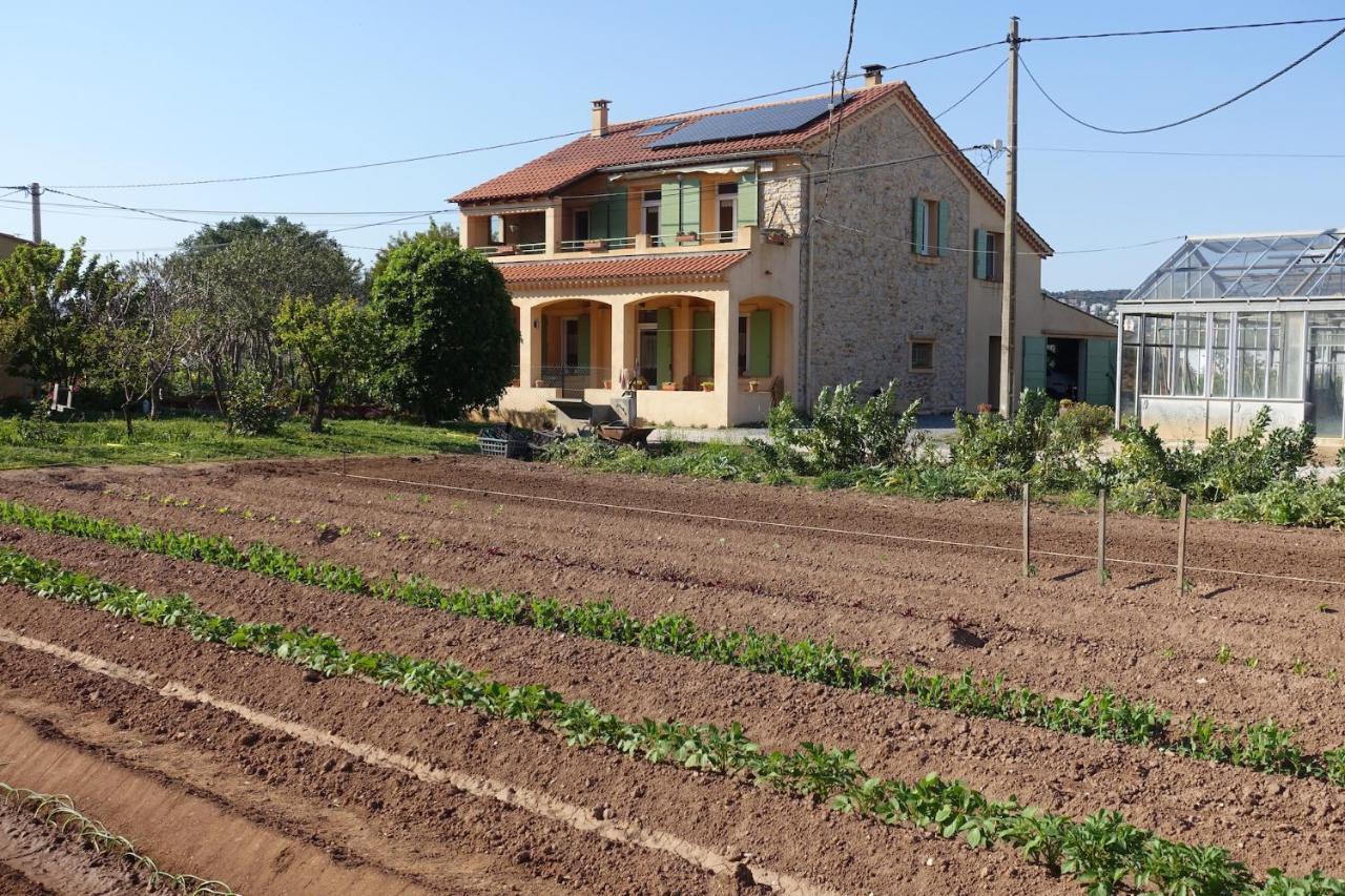 Gîte du Pagoulin - Chambres d'hôtes Hyères Extérieur photo