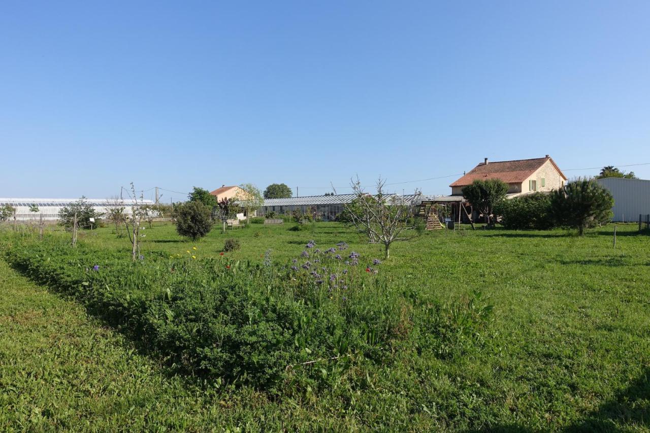 Gîte du Pagoulin - Chambres d'hôtes Hyères Extérieur photo