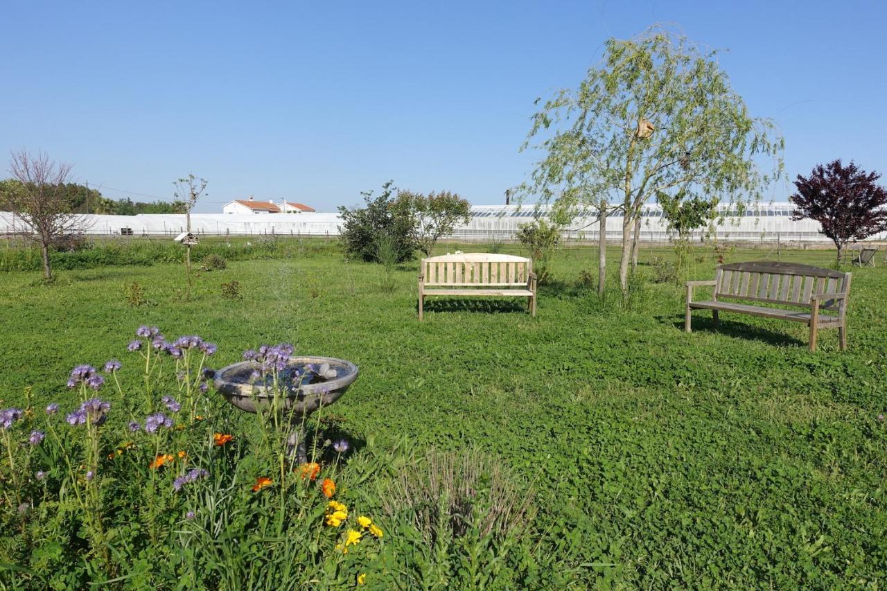 Gîte du Pagoulin - Chambres d'hôtes Hyères Extérieur photo