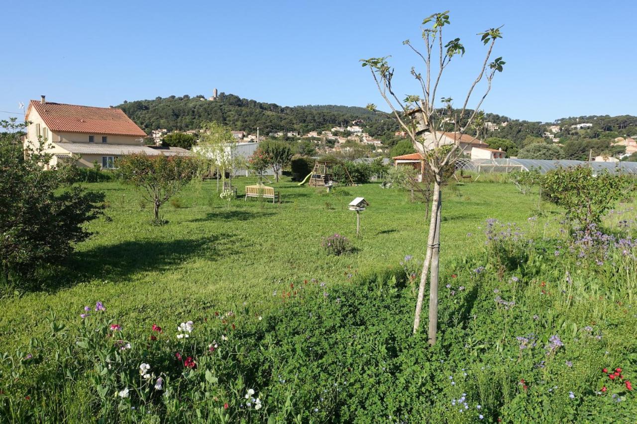 Gîte du Pagoulin - Chambres d'hôtes Hyères Extérieur photo